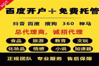 竞价SEM托管服务：成功案例揭秘